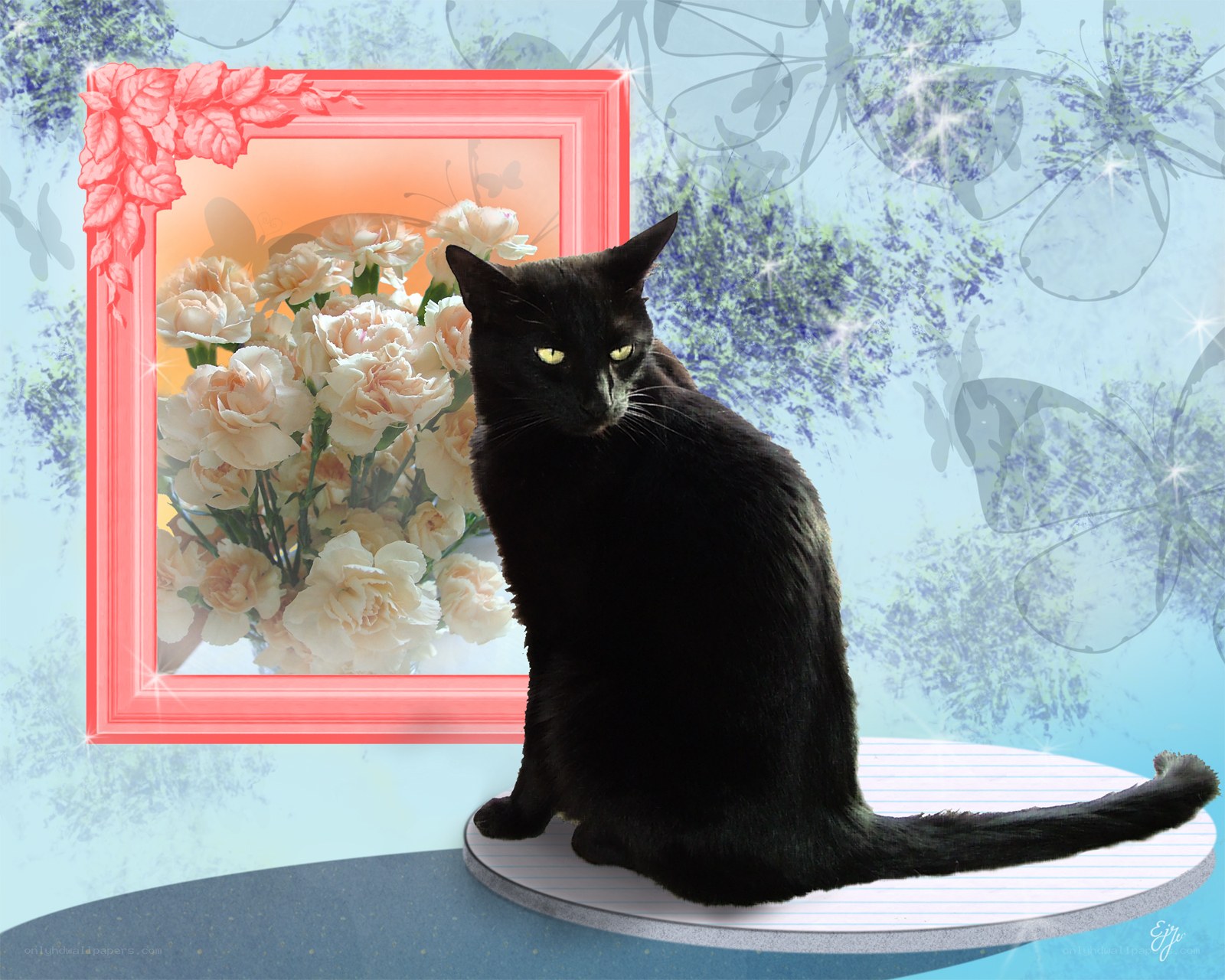 Black cat with flowers in frame