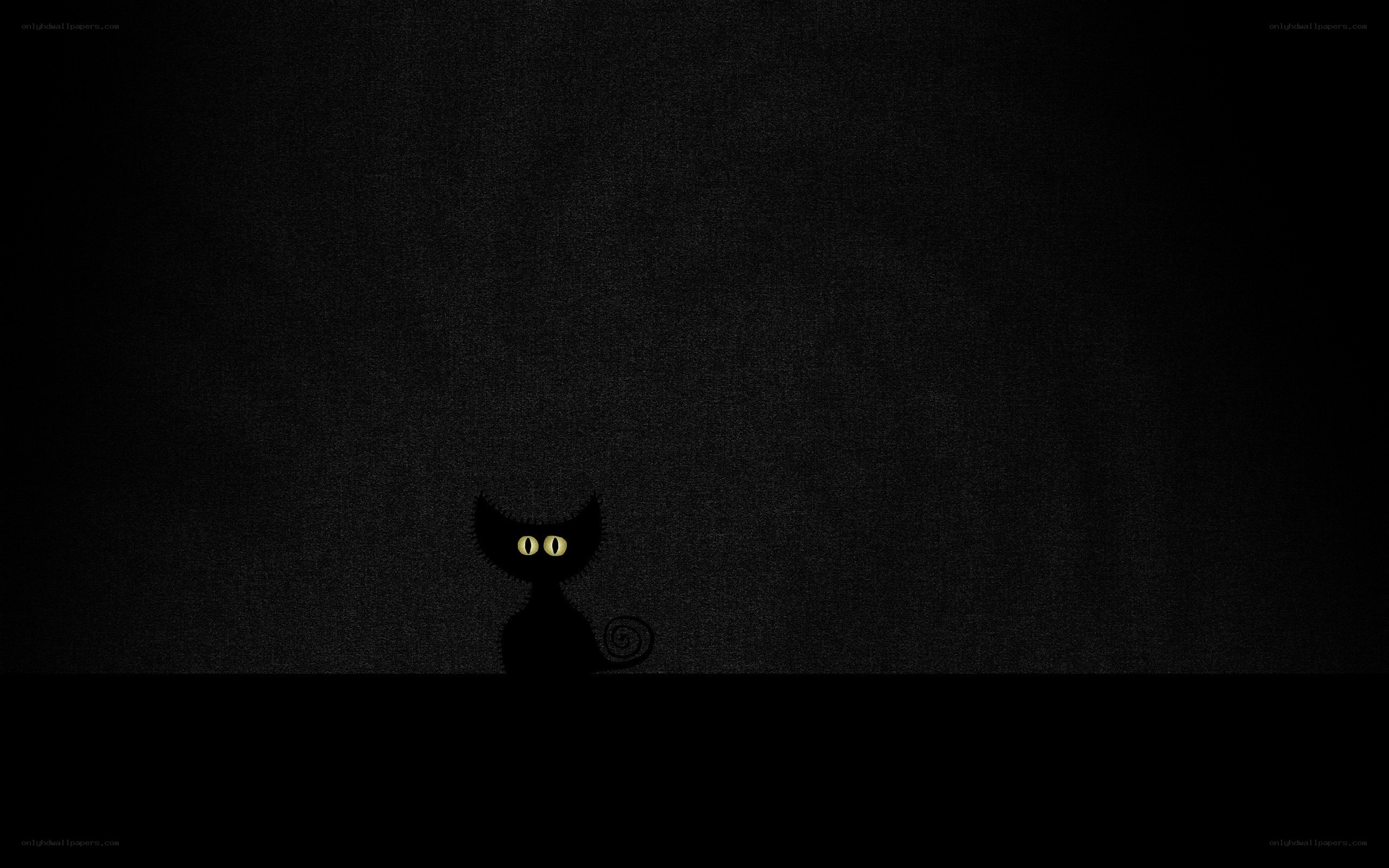 black cat with glowing eyes