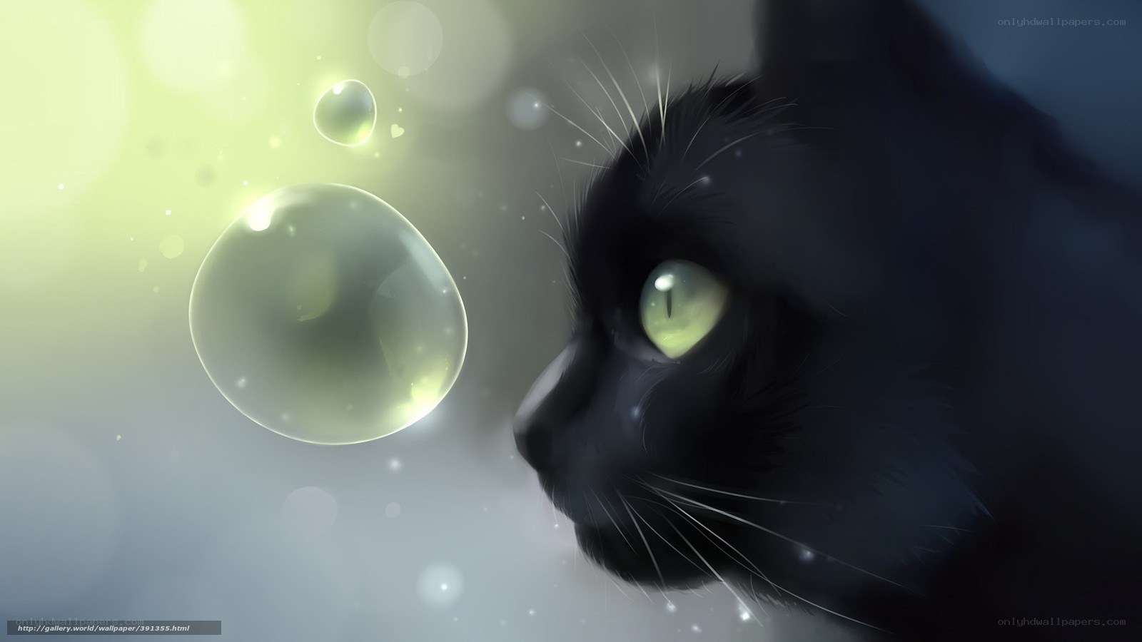 Black cat with glowing eyes