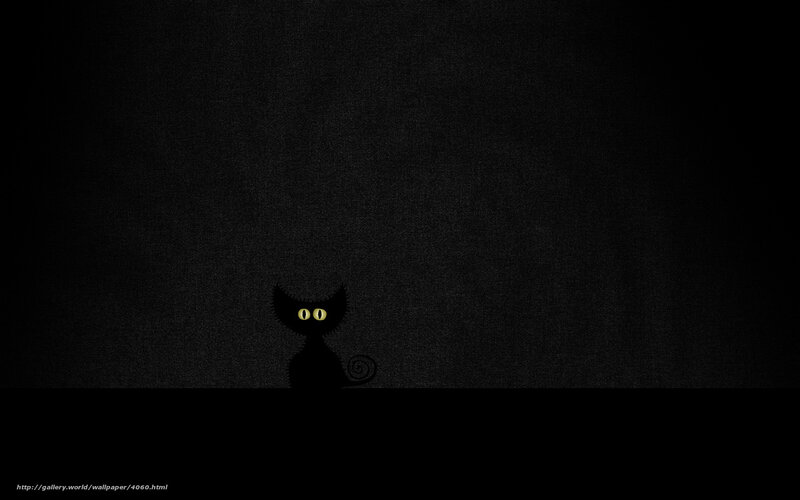 black cat with glowing eyes