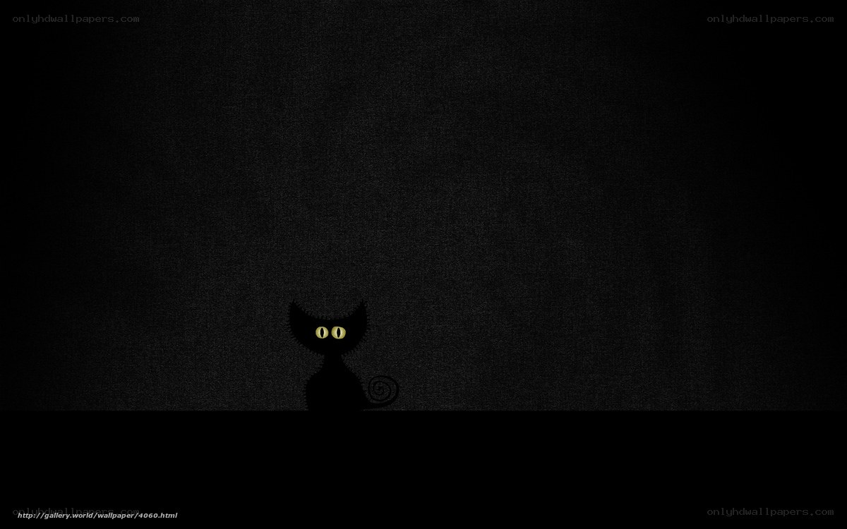 black cat with glowing eyes