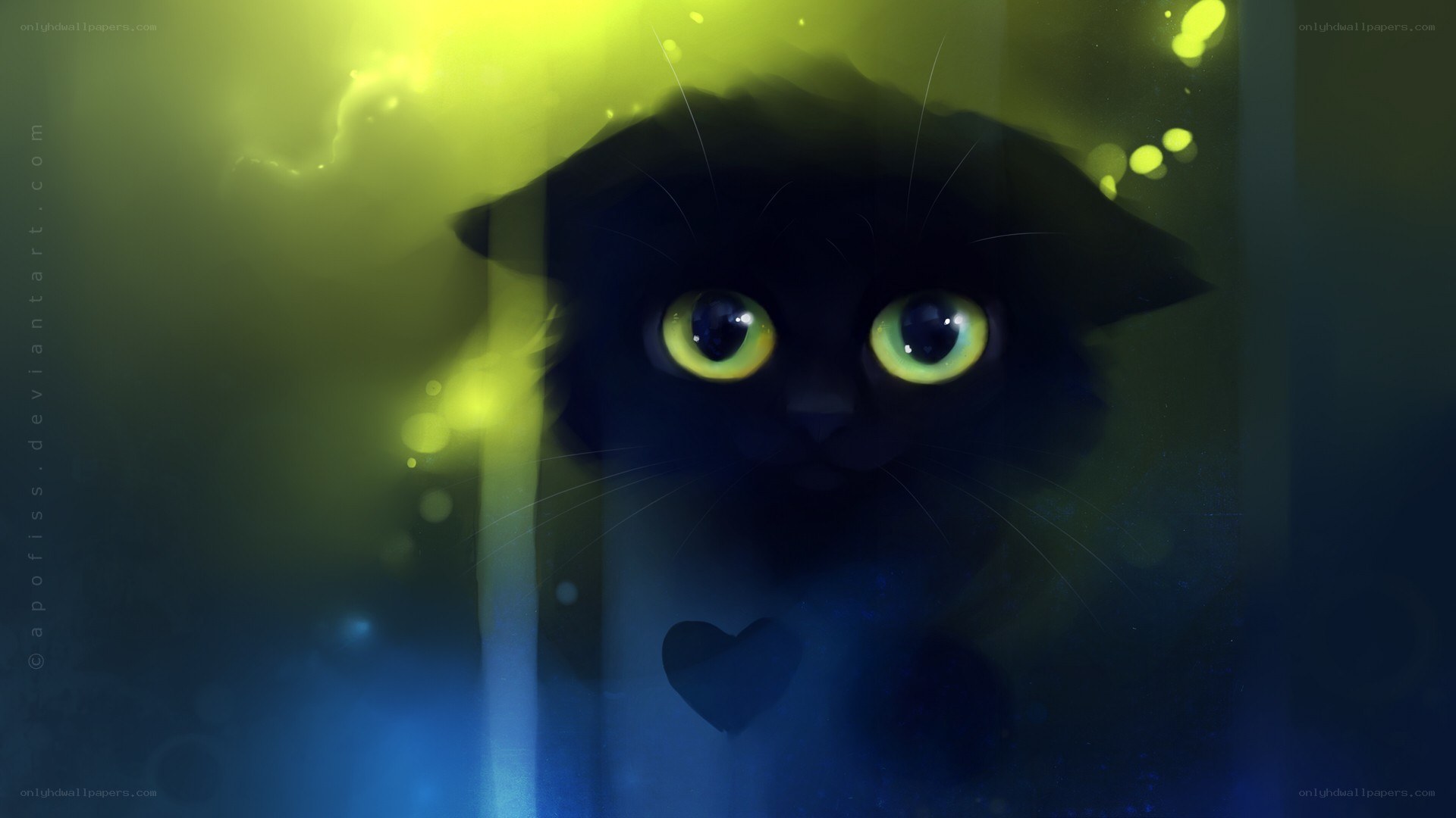 black cat with glowing eyes