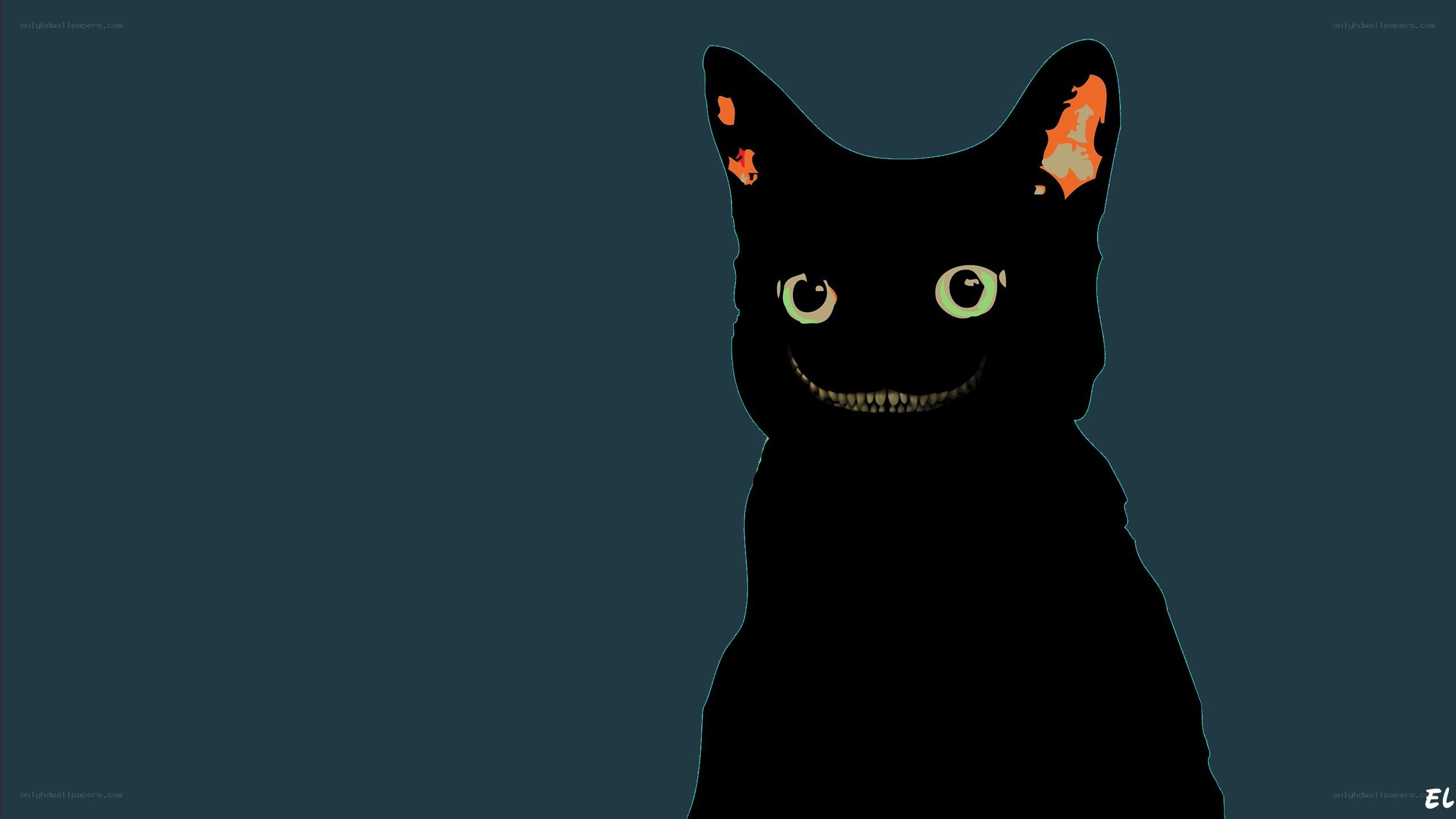black cat with glowing eyes