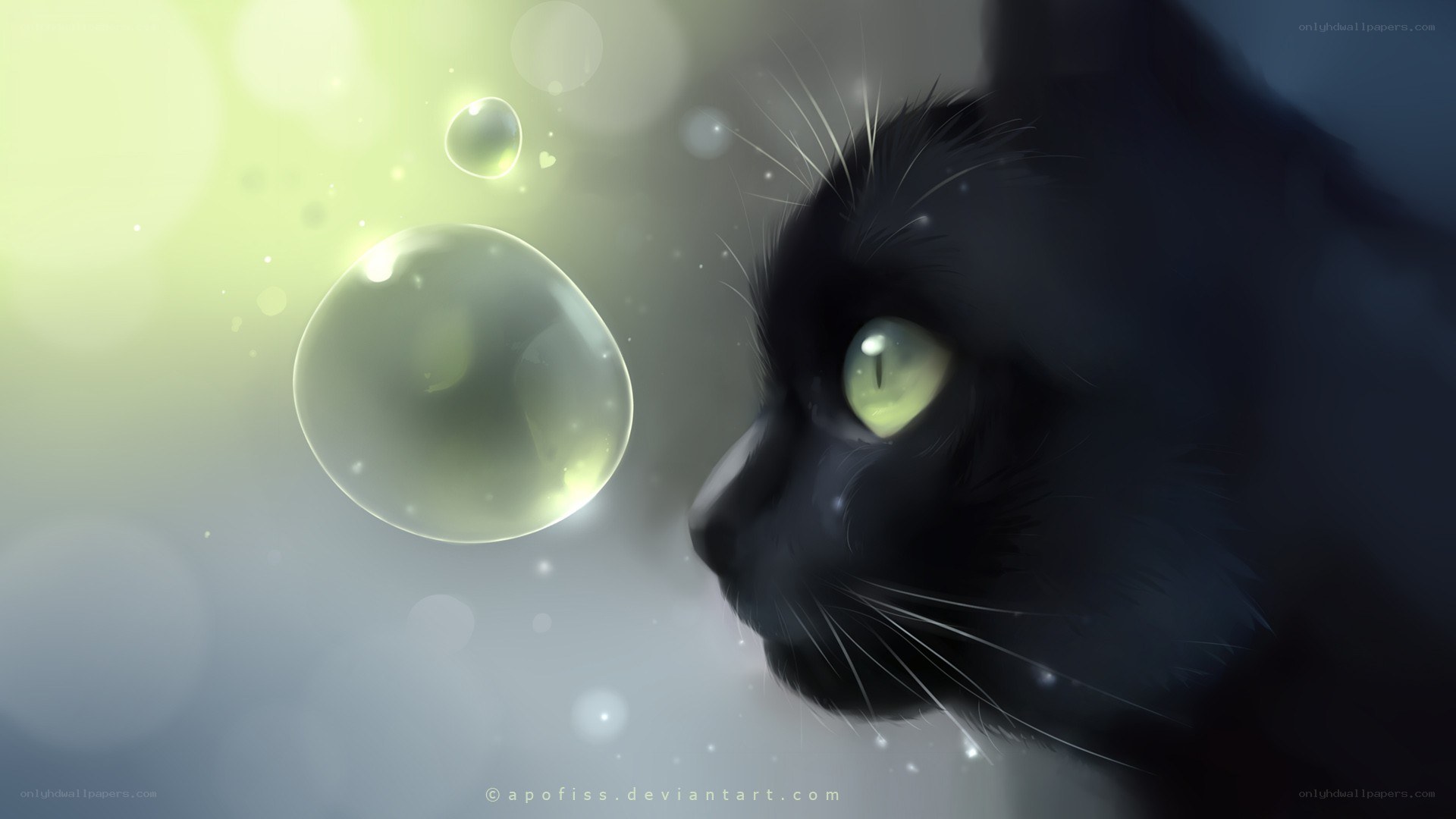 black cat with glowing eyes