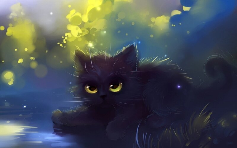 black cat with glowing eyes