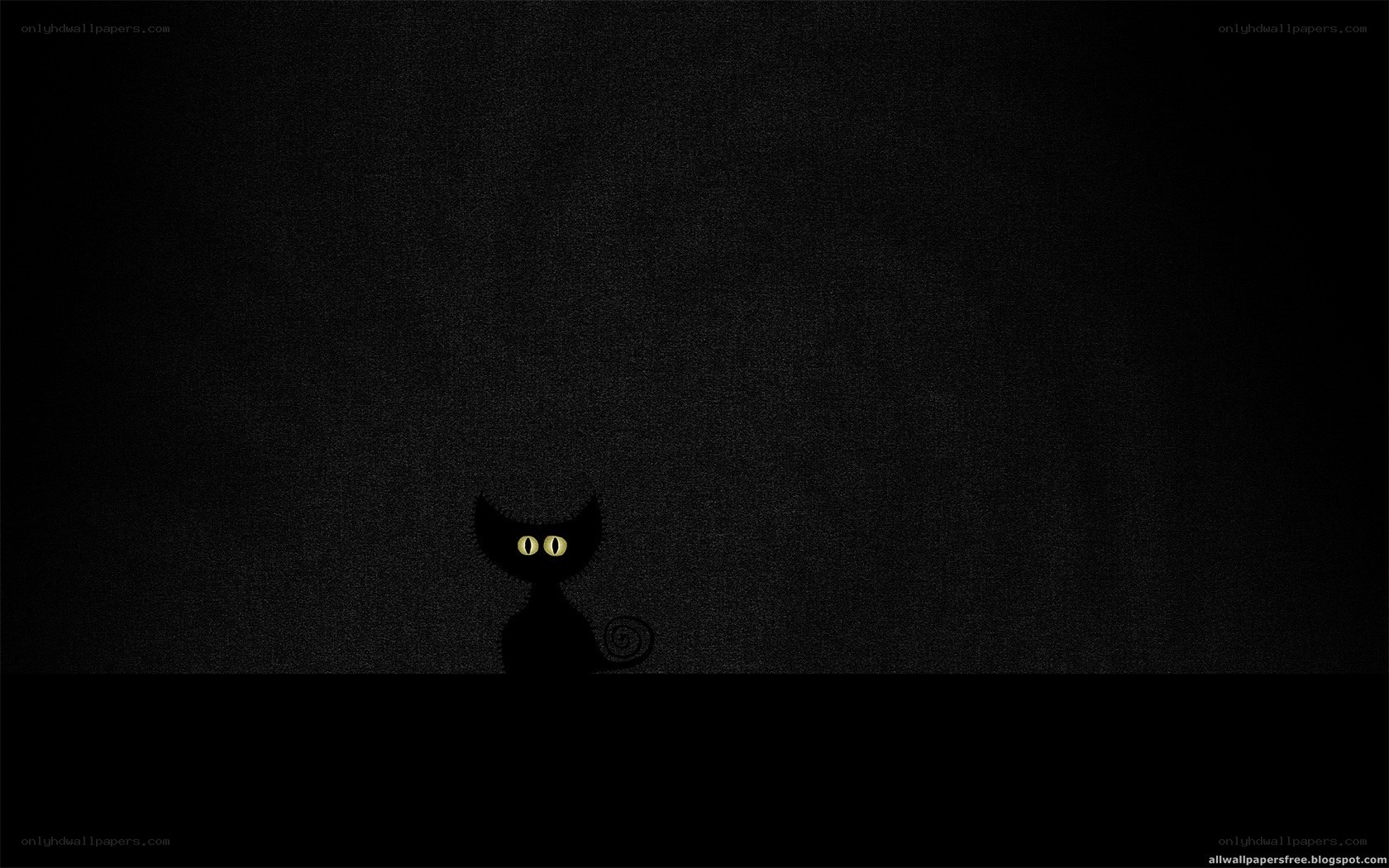 black cat with glowing eyes