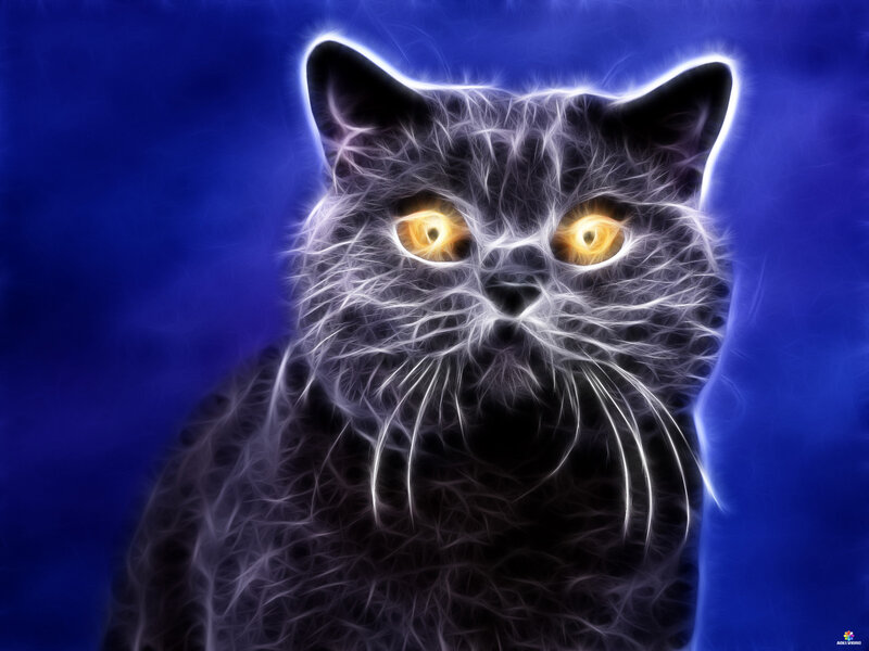 Black Cat with Glowing Eyes — Blue, Dramatic