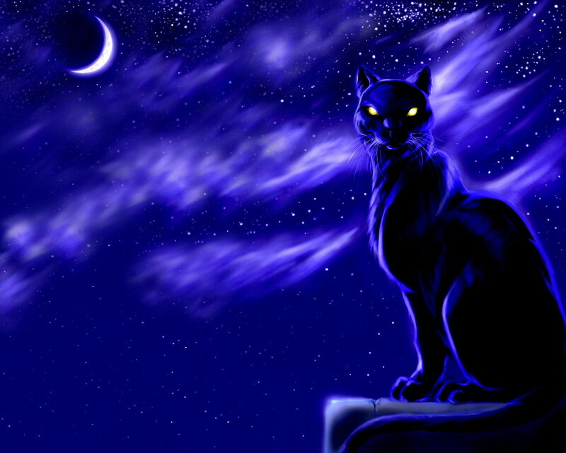Black Cat with Glowing Eyes — Blue, Mystical, Night