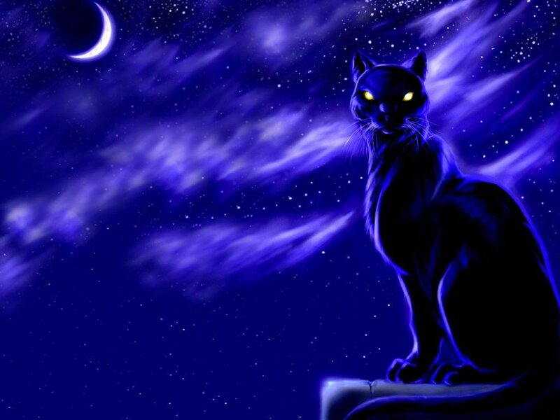 Black Cat with Glowing Eyes — Blue