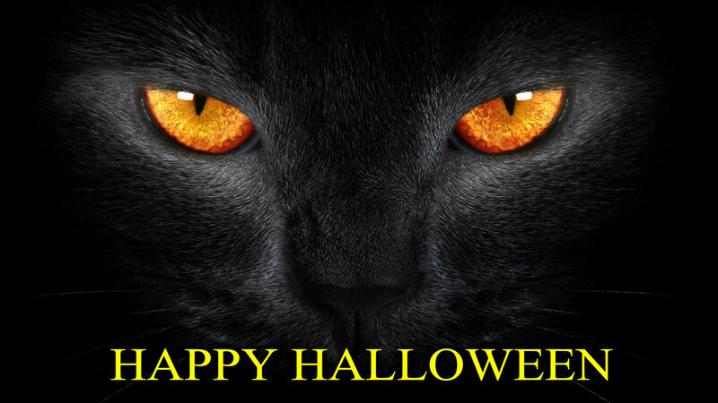 Black Cat with Glowing Eyes — Dark, Night, Photograph, Text