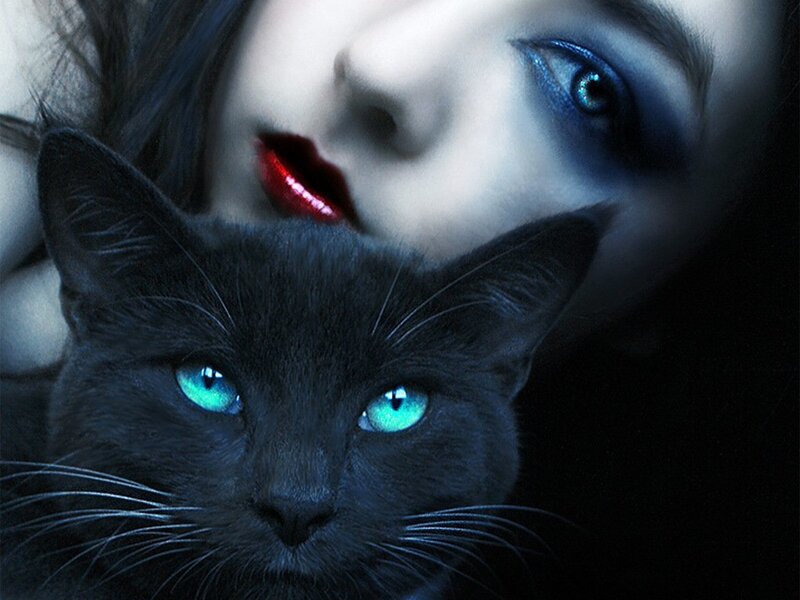 Black Cat with Glowing Eyes — Dramatic, Night, Digital Art