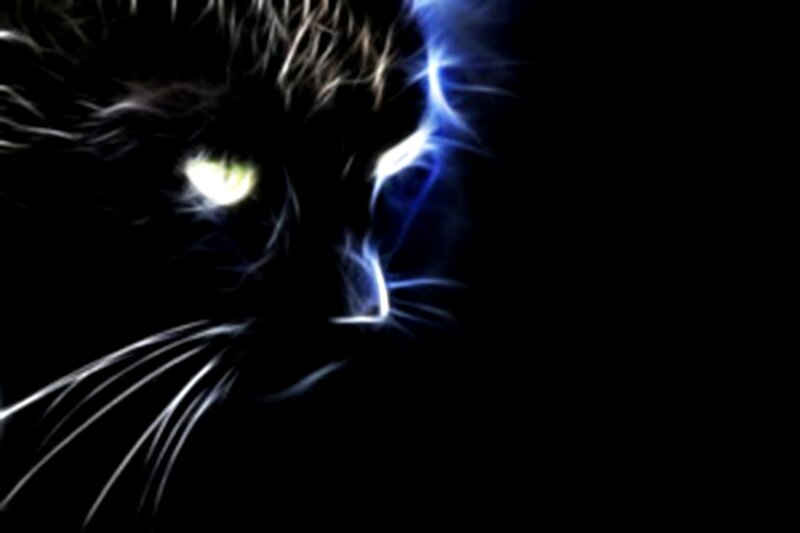 Black Cat with Glowing Eyes — Dramatic, Night, Digital Art, Whiskers
