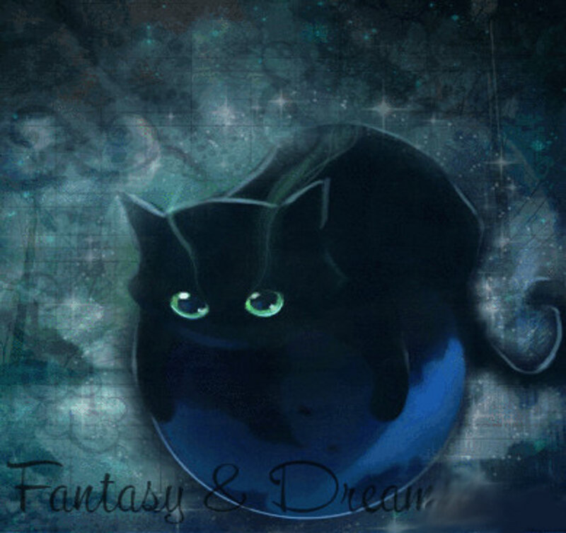 Black Cat with Glowing Eyes — Mystical, Night