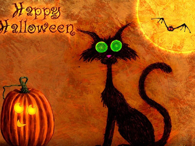 Black Cat with Glowing Eyes — Orange
