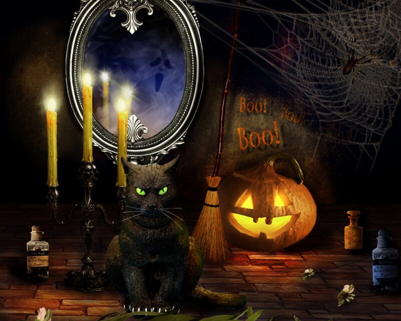 Black Cat with Glowing Eyes — Spooky, Night