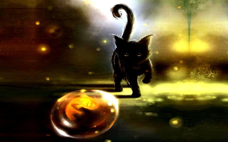 black cat with glowing orb