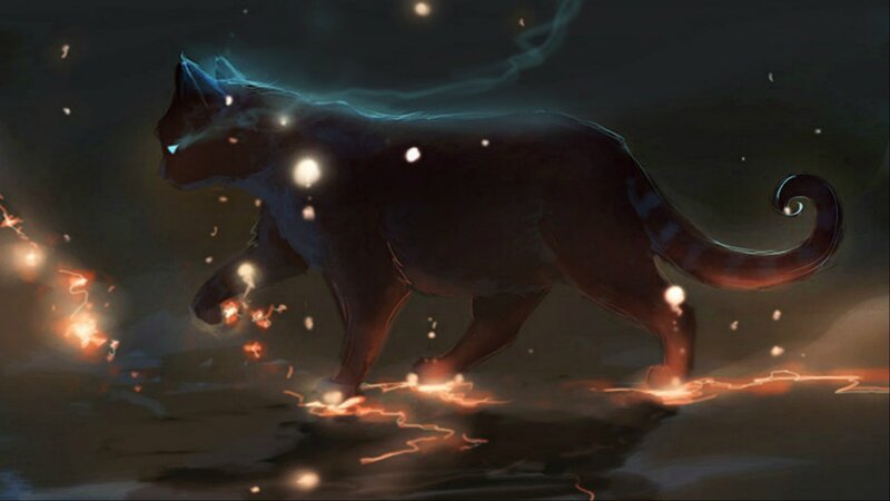 Black Cat with Glowing Particles