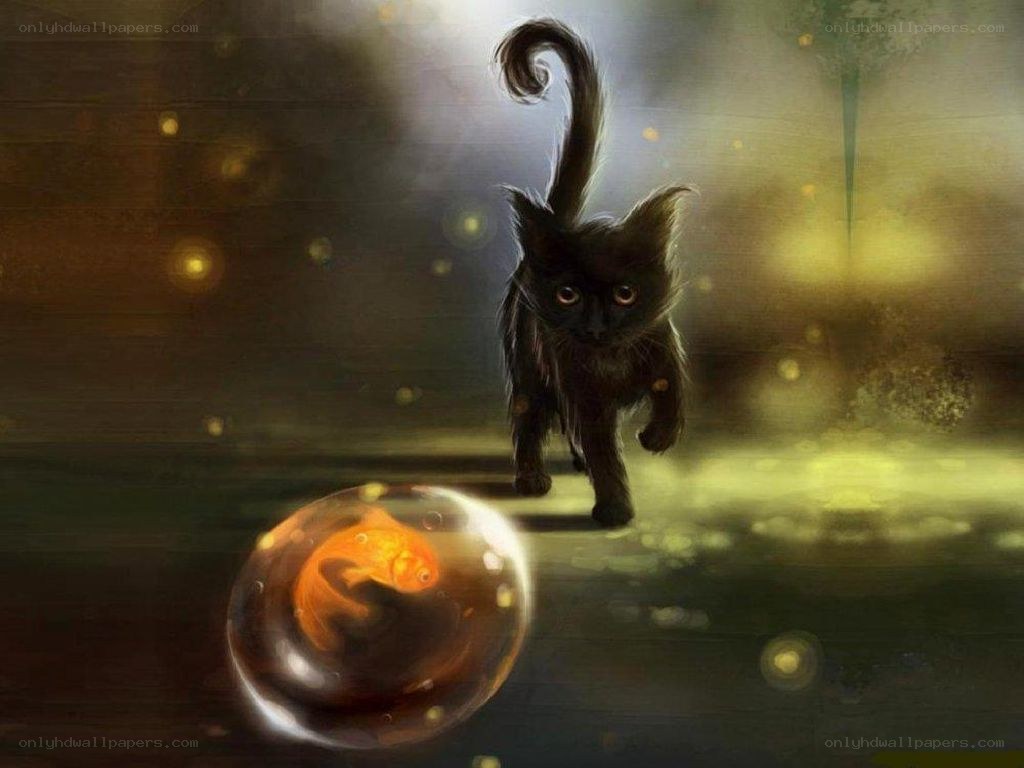black cat with goldfish in bubble