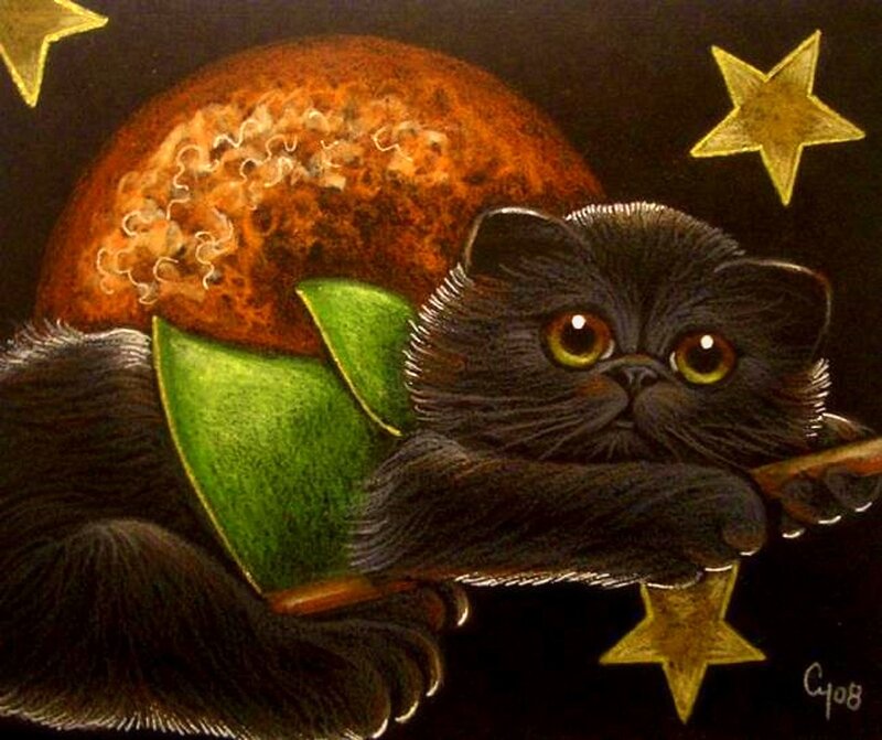 Black Cat with Green Cape