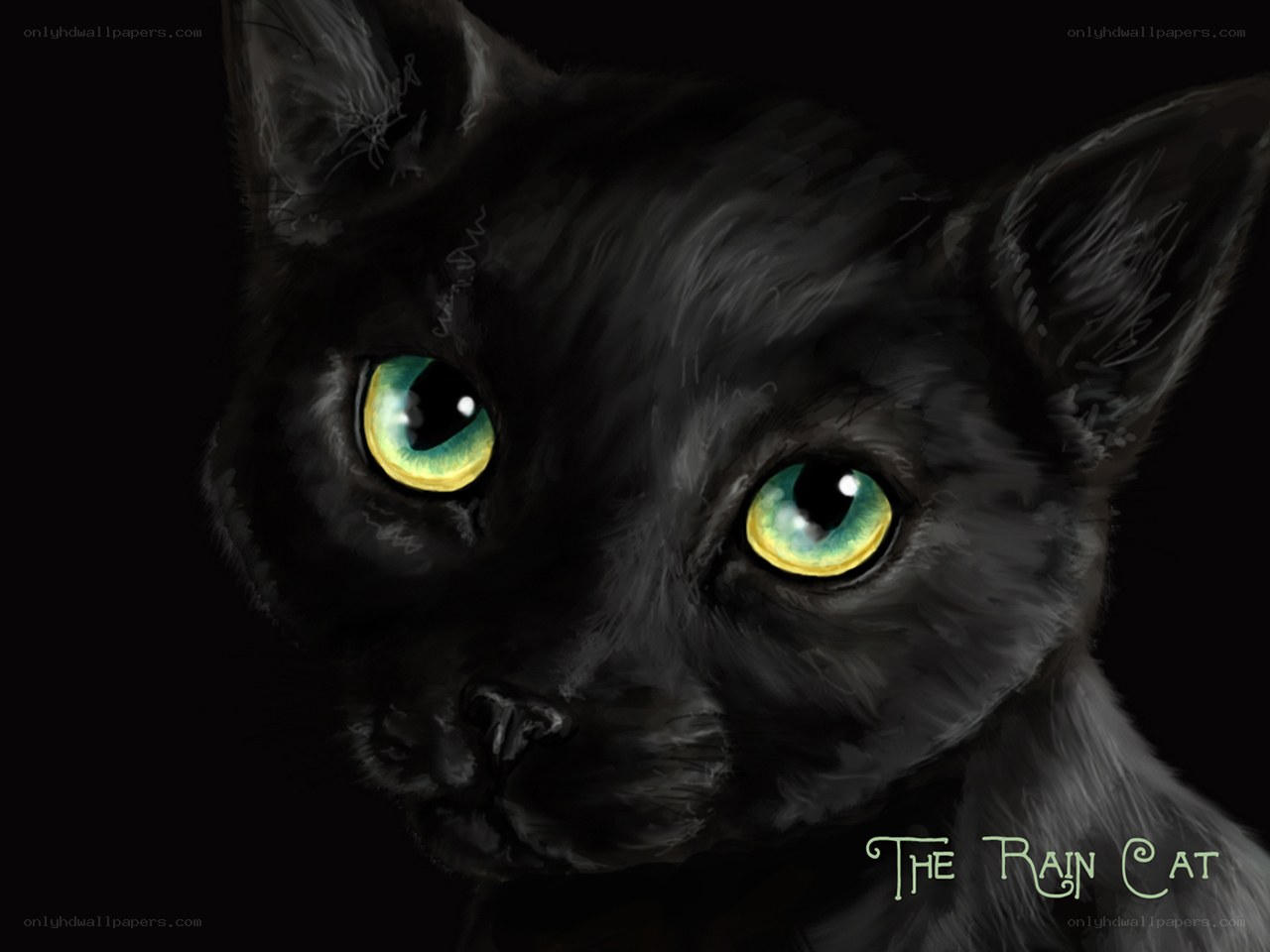 black cat with green eyes