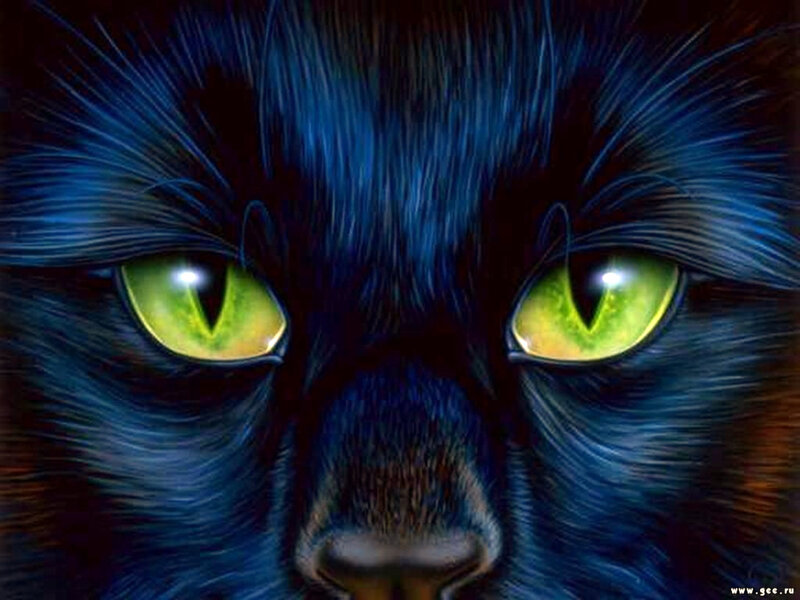 Black Cat with Green Eyes — Blue, Dramatic
