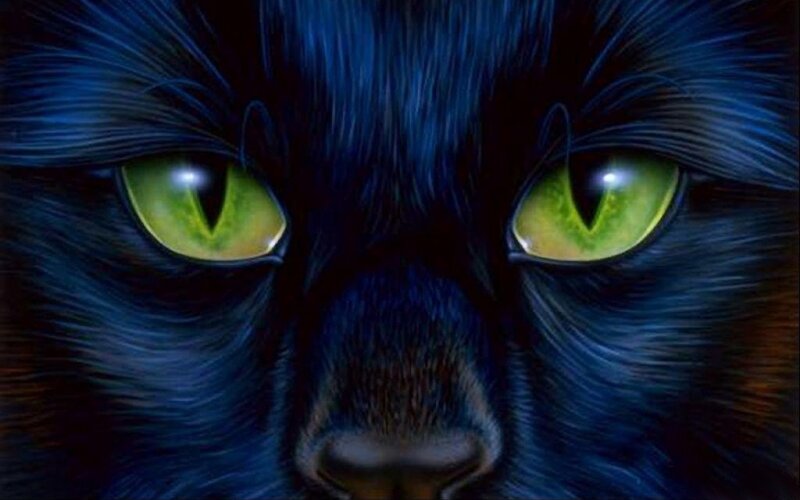 Black Cat with Green Eyes — Blue