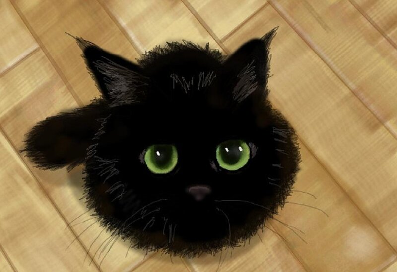 Black Cat with Green Eyes — Calm, Digital Art