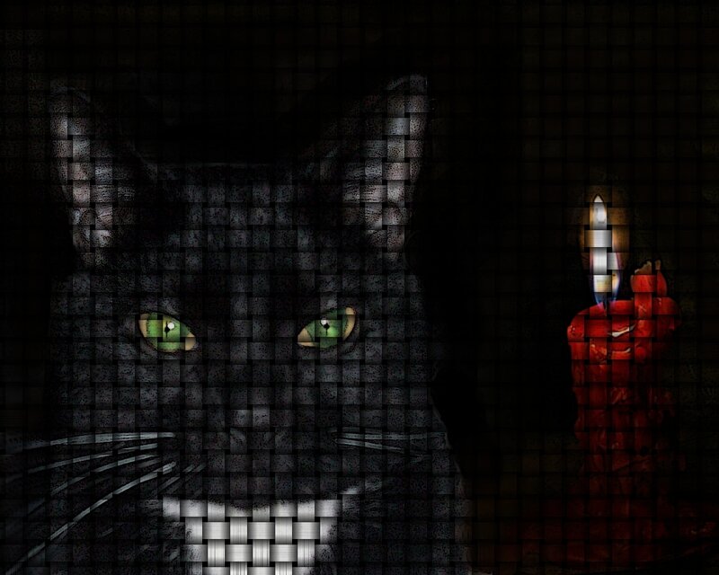 Black Cat with Green Eyes — Dark, Night