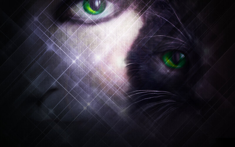 Black Cat with Green Eyes — Dramatic, Night, Digital Art, Light Effect