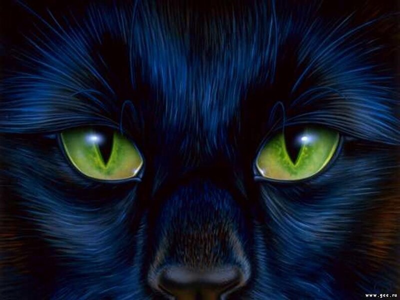 Black Cat with Green Eyes — Dramatic, Night, Digital Art, Nose