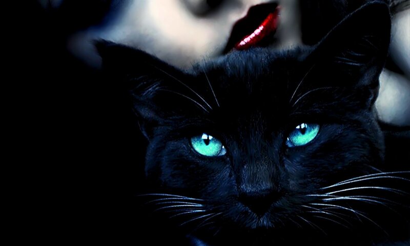 Black Cat with Green Eyes — Dramatic, Night, Digital Art