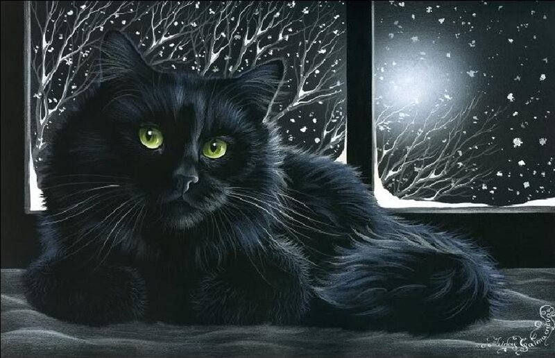 Black Cat with Green Eyes — Dramatic, Night, Illustration