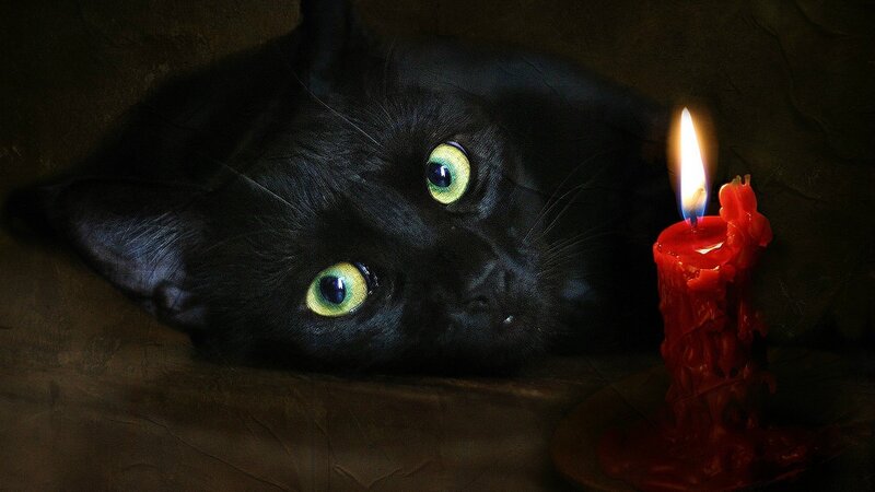 Black Cat with Green Eyes — Dramatic, Night, Photograph, Candle