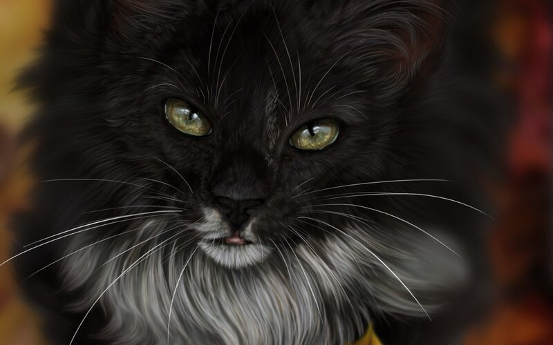 Black Cat with Green Eyes — Intense, Digital Art