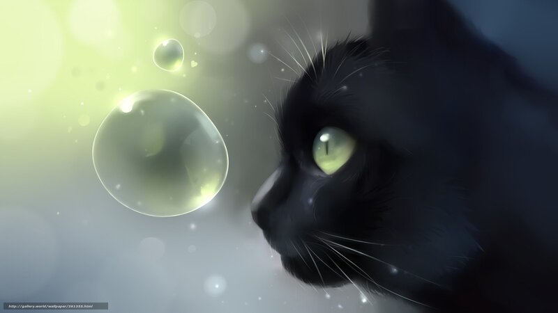 Black Cat with Green Eyes — Serene, Digital Art, Bubbles, Light