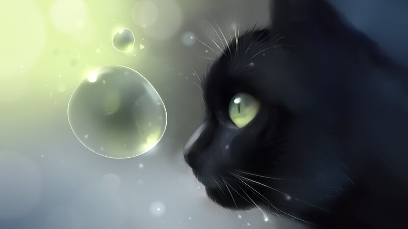 Black Cat with Green Eyes — Serene