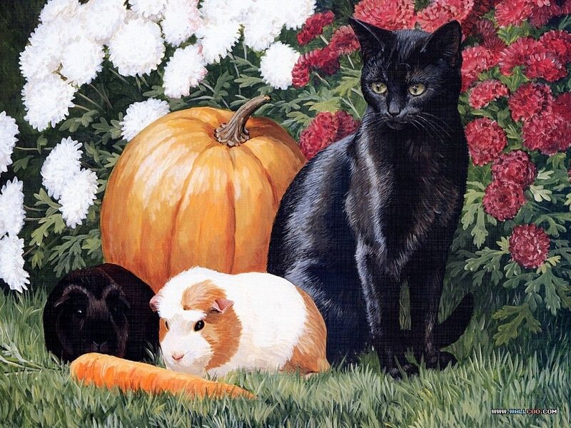 Black Cat with Guinea Pigs