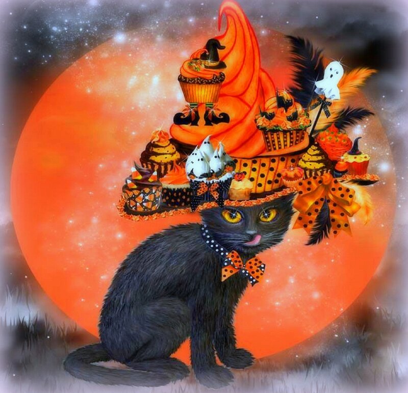 Black Cat with Hat — Orange
