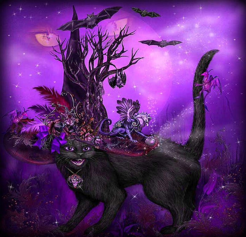 Black Cat with Hat — Purple
