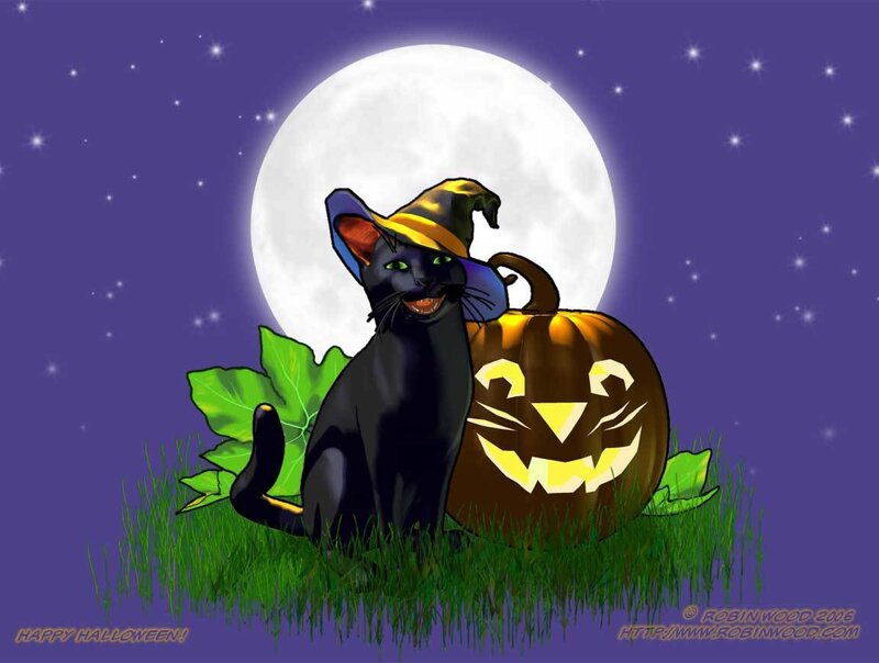 Black cat with jack-o-lantern