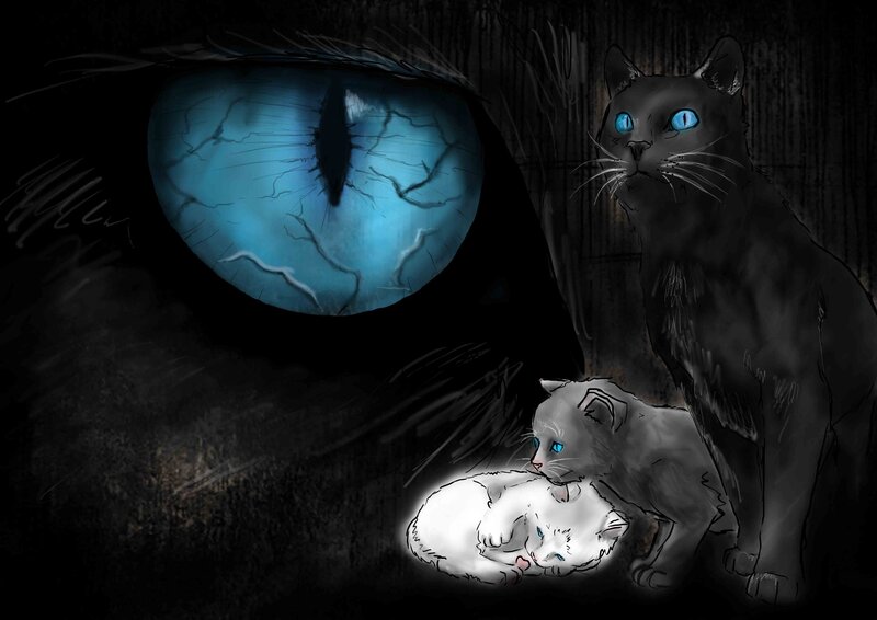 Black Cat with Kittens