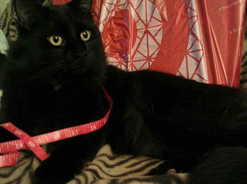 Black Cat with Measuring Tape