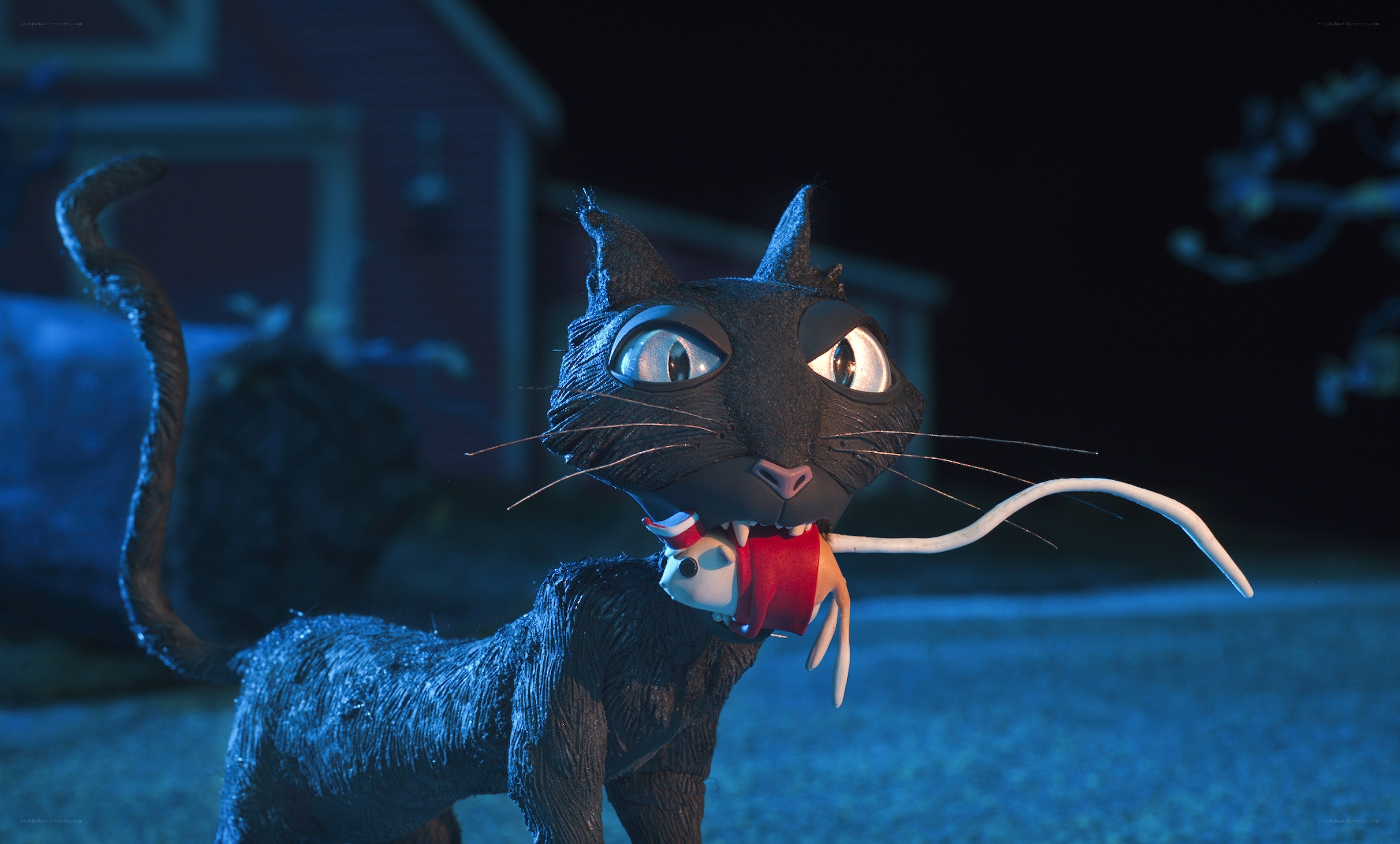 Black cat with mouse in mouth