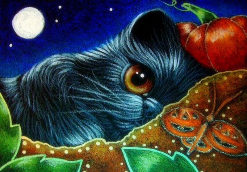 Black Cat with Pumpkin — Blue, Mysterious