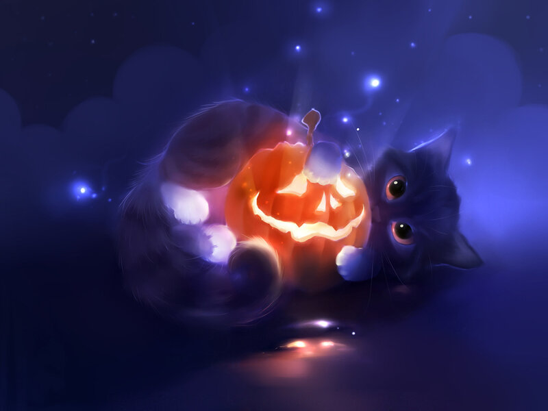 Black Cat with Pumpkin — Blue