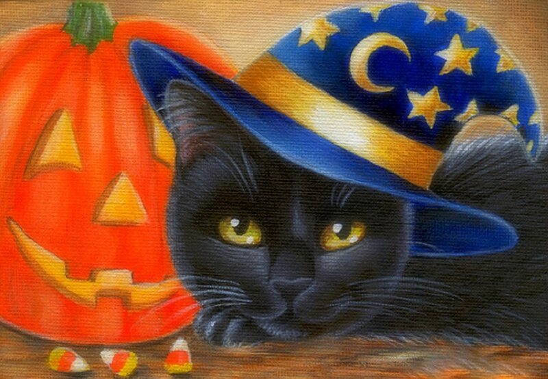 Black Cat with Pumpkin — Festive, Autumn