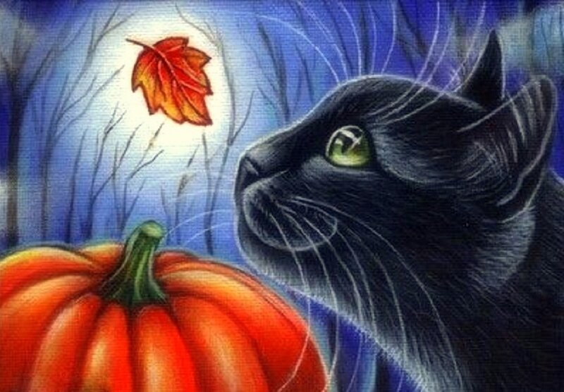 Black Cat with Pumpkin — Mysterious