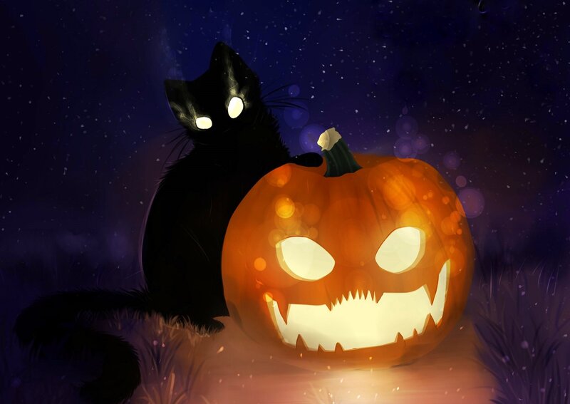 Black Cat with Pumpkin — Orange, Spooky, Night