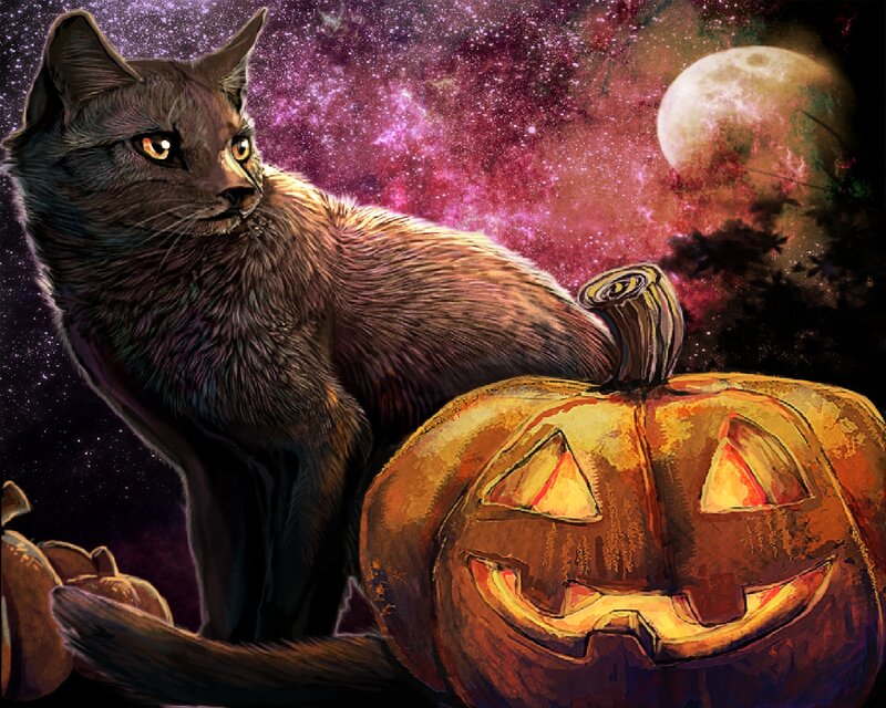 Black Cat with Pumpkin — Purple, Mysterious