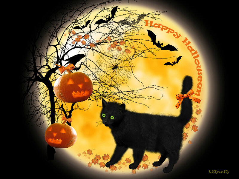 Black Cat with Pumpkins — Creepy